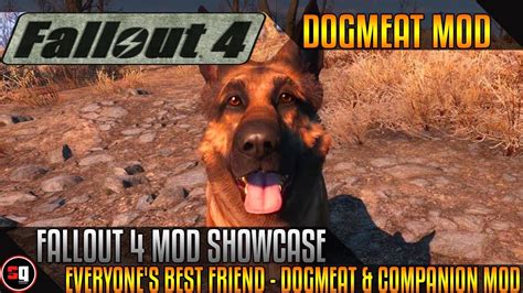 fallout 4 mod dogmeat and companion|fallout 4 everyones best friend.